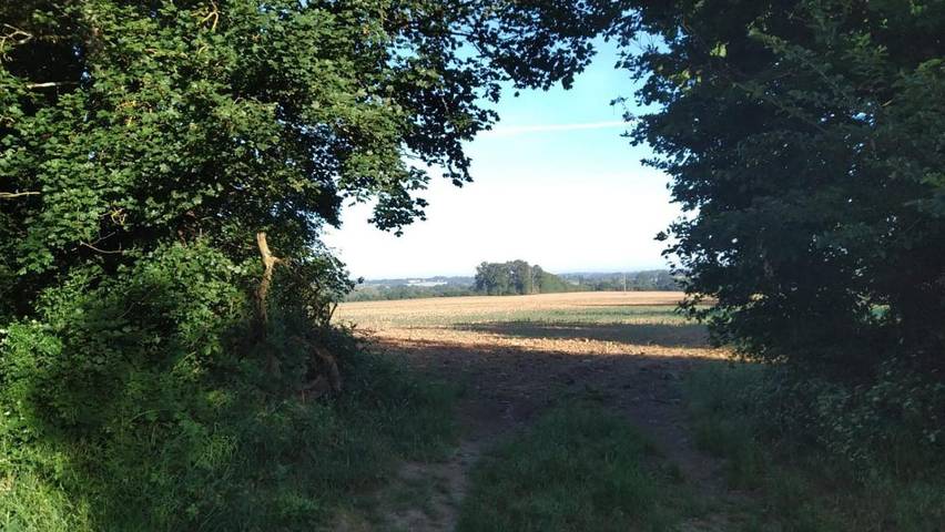 Location de vacances pour 3 personnes, avec jardin à Saint-Martin-des-Champs (Yonne) - 2