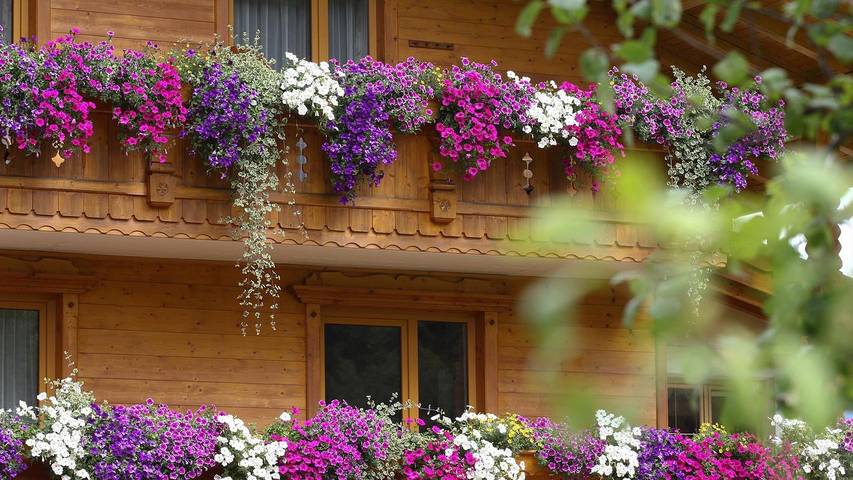 Ferienwohnung für 4 Personen, mit Garten in Neustift im Stubaital - 2