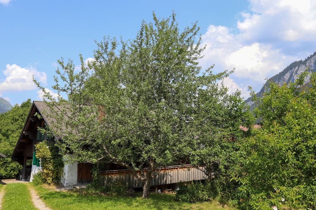 Appartement de vacances entier, Chalet Le Monteiller - 2 chambres à coucher, 85m², 4 personnes in Les Moulin - Château - d' Oex, Château-d' Œx