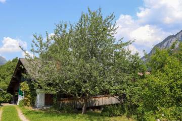 Ferienwohnung für 4 Personen in Château-d' Oex, Alpes Vaudoises, Bild 2
