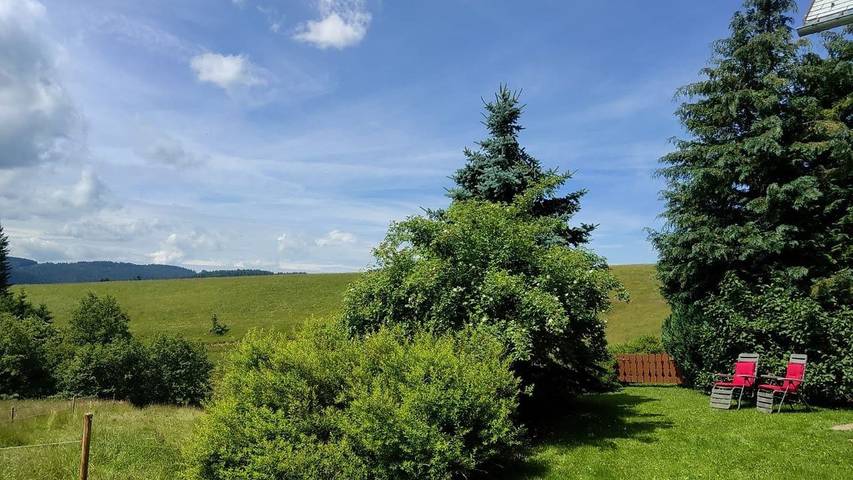 Gîte pour 2 personnes, avec jardin à Titisee-Neustadt - 4