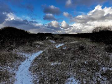 Hus för 5 Personer i Skagen, Tannisbucht, Bild 4