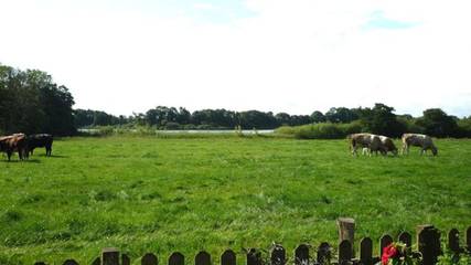 Ferienwohnung für 4 Personen in Sörup, Schleswig-Flensburg, Bild 4
