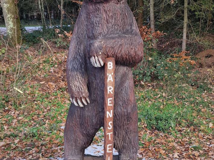 Ferienhaus für 6 Personen, mit Garten und Balkon, kinderfreundlich in der Pfalz - 2