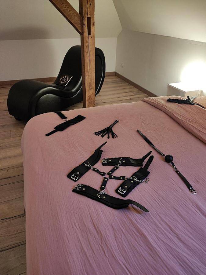 Gîte pour 2 personnes, avec terrasse ainsi que vue et jardin, animaux acceptés en Alsace