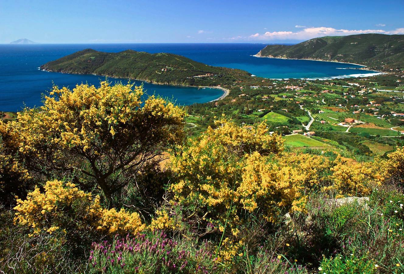 Appartamento intero, Elbamar Lacona 1 - Elbamar Lacona 1 - Villetta Relax Mare in Lacona, Isola d'Elba