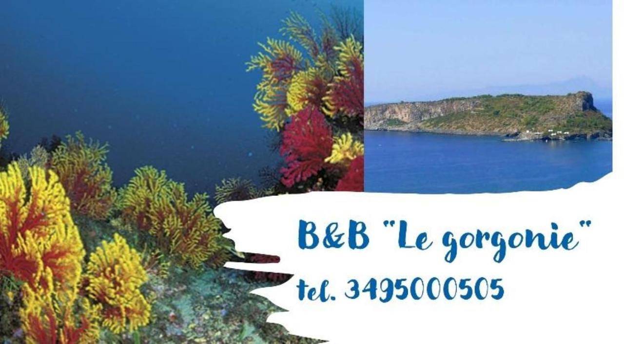 B&B Le Gorgonie in Tortora Marina, Tortora