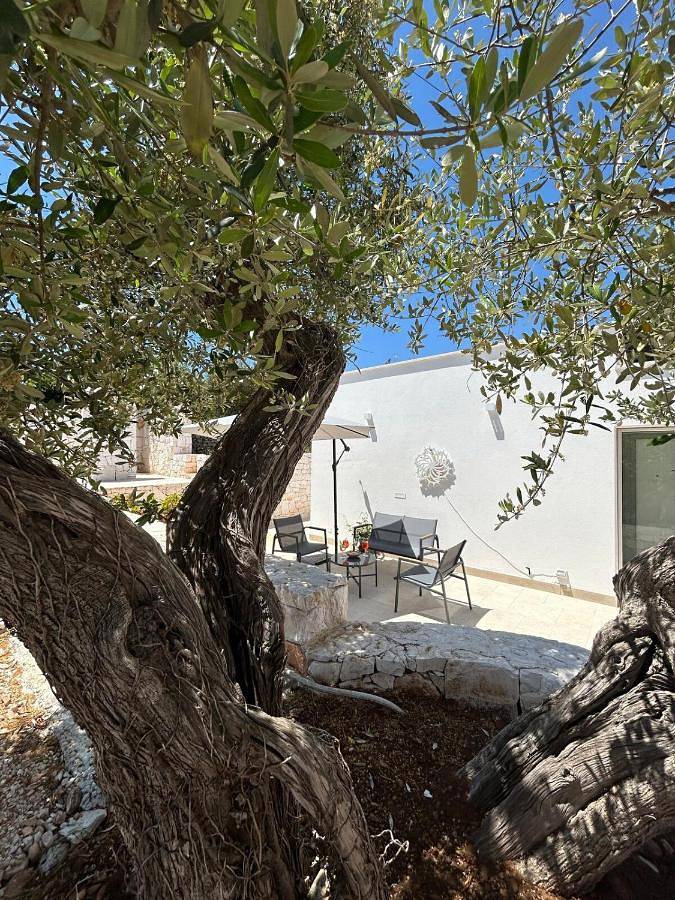 Appartement entier, Trullo Alisia - Trulloexperience in Putignano, Province de Bari