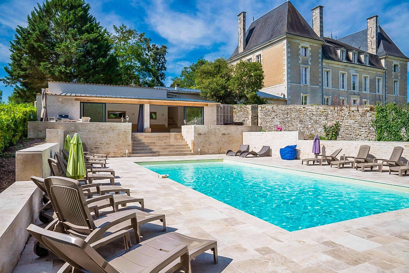Château pour 91 personnes avec piscine in Benest, Charente