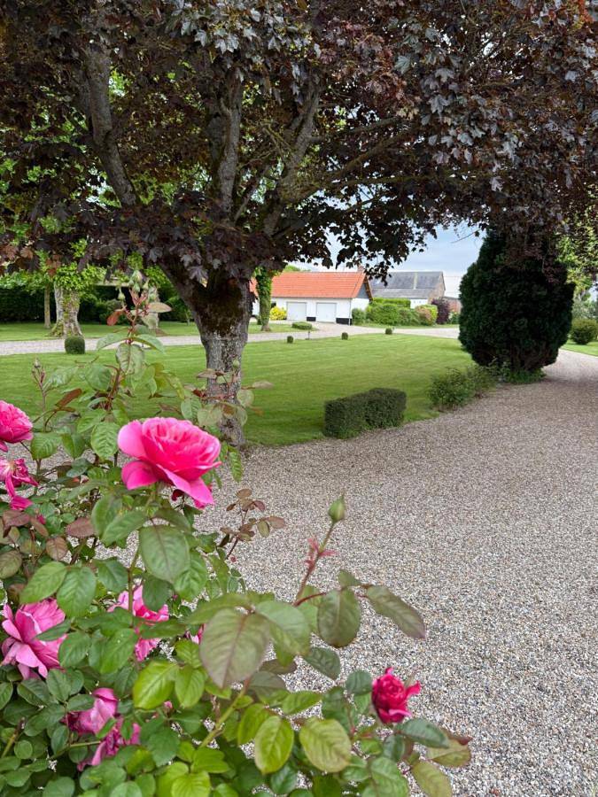 Gites En Baie De Somme - Maison Nolette in Noyelles-sur-Mer, Région d'Abbeville
