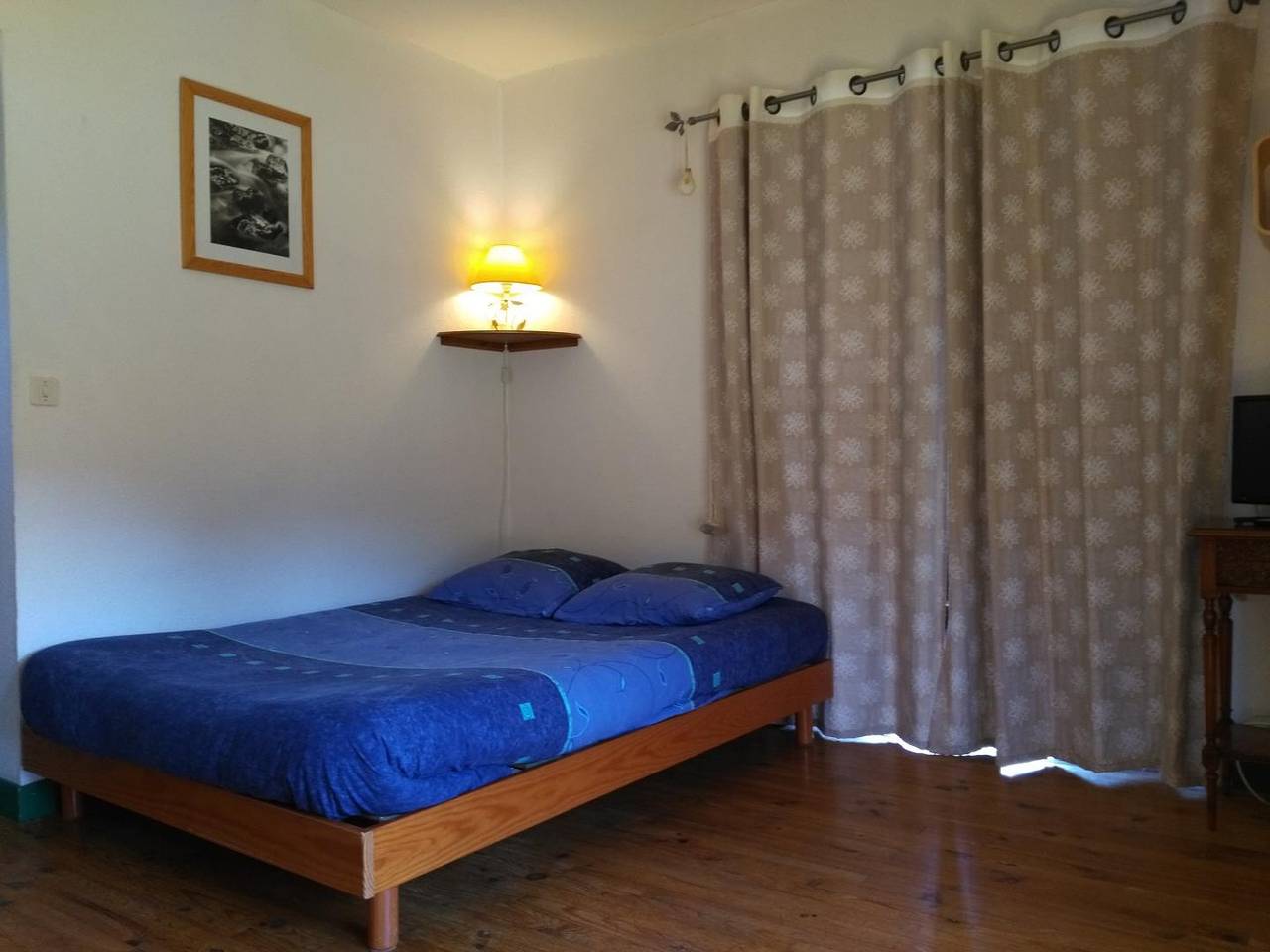 Crocus in Autrans-Méaudre-en-Vercors, Parc naturel régional du Vercors