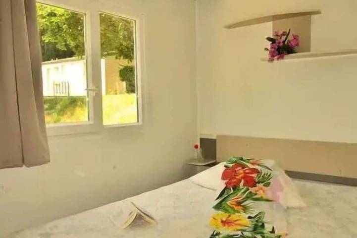 Mobil home pour 4 personnes à Pont-de-Salars - 2