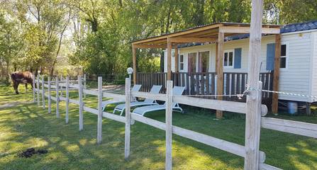 Mobil home pour 4 personnes, avec terrasse à Le Cailar