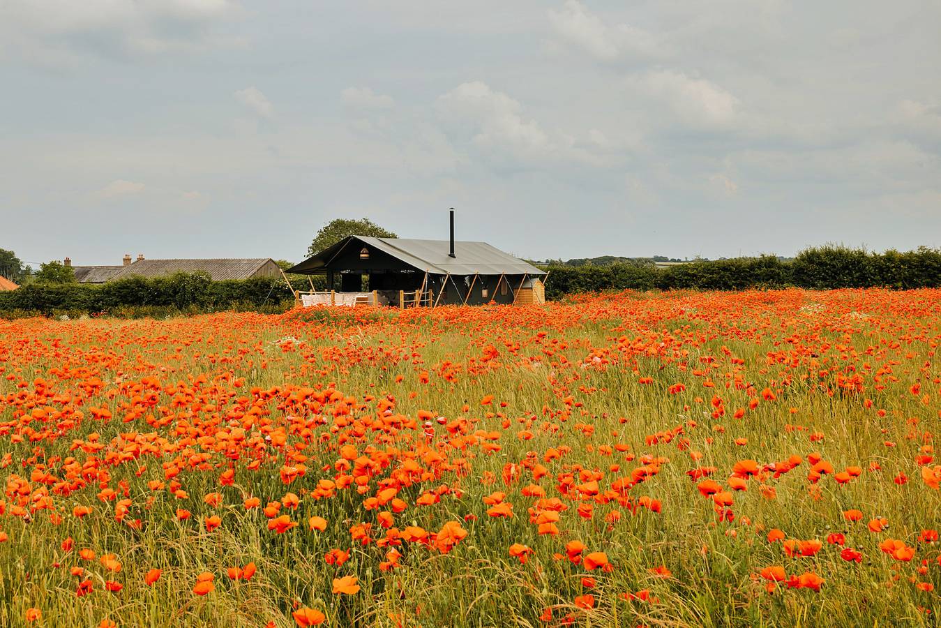 Owls Nest in Walsingham, Norfolk Coast