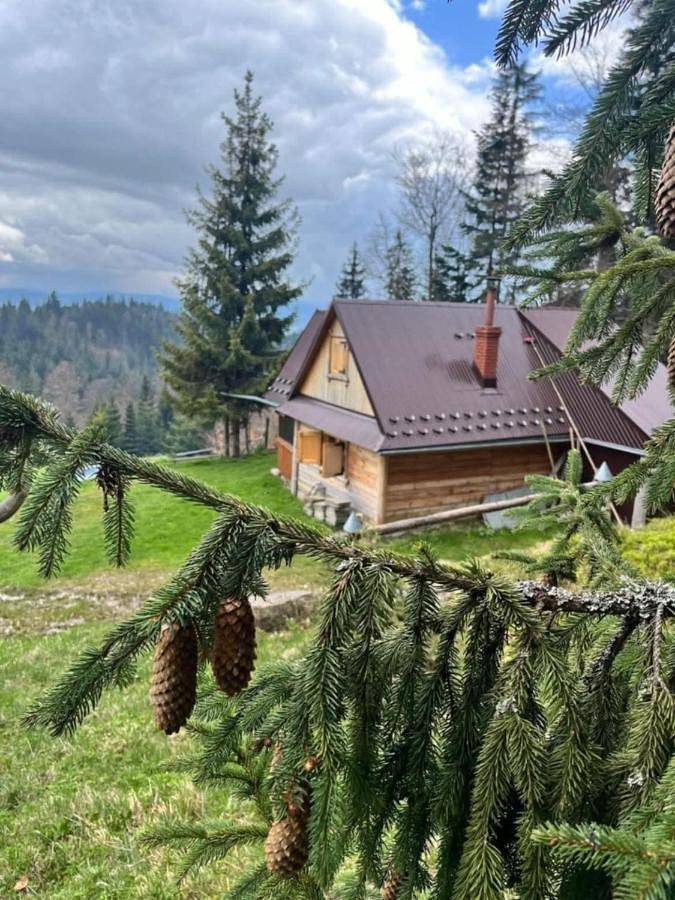 Terenowka Bacowka in Karpaty (Polska)