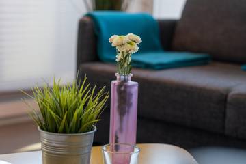 Ferienwohnung für 4 Personen in Steinwarder, Heiligenhafen, Bild 3