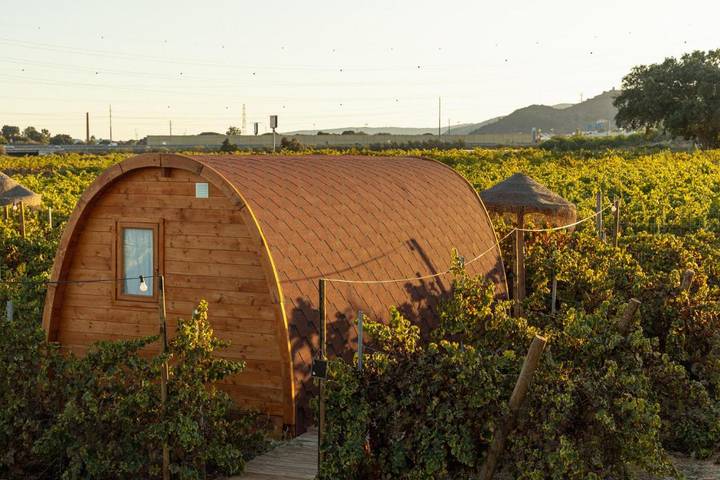Gîte pour 2 personnes, avec vue et jardin à Palmela - 2