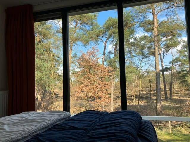 Europarcs De Zanding — Cube Magnifique Plus Miva 8 in Hoge Veluwe