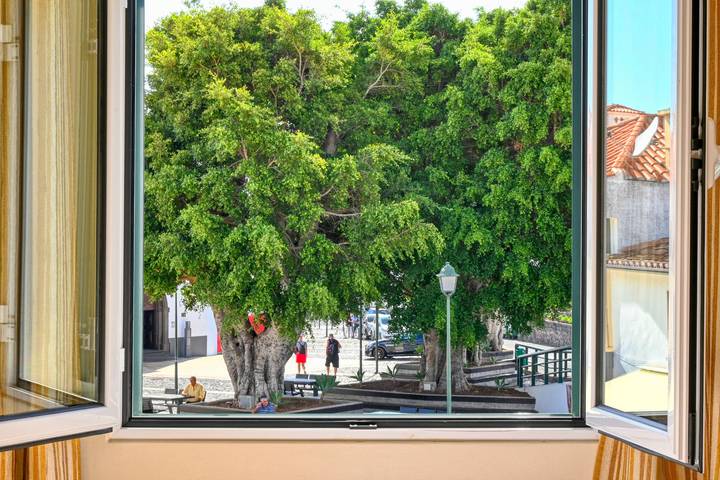 Gîte pour 2 personnes, animaux acceptés à Machico - 2