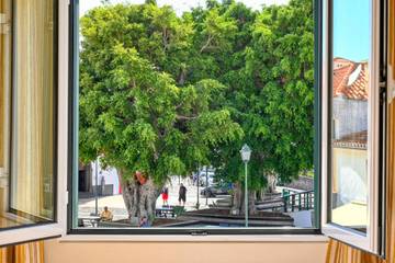 Apartamento Estúdio para 2 Pessoas em Machico, Madeira, Foto 1