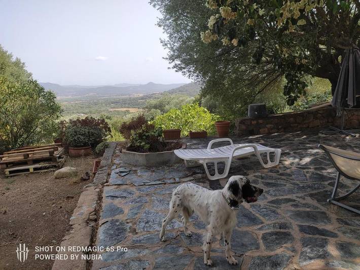 Location de vacances pour 5 personnes, avec vue et jardin à Figari - 3