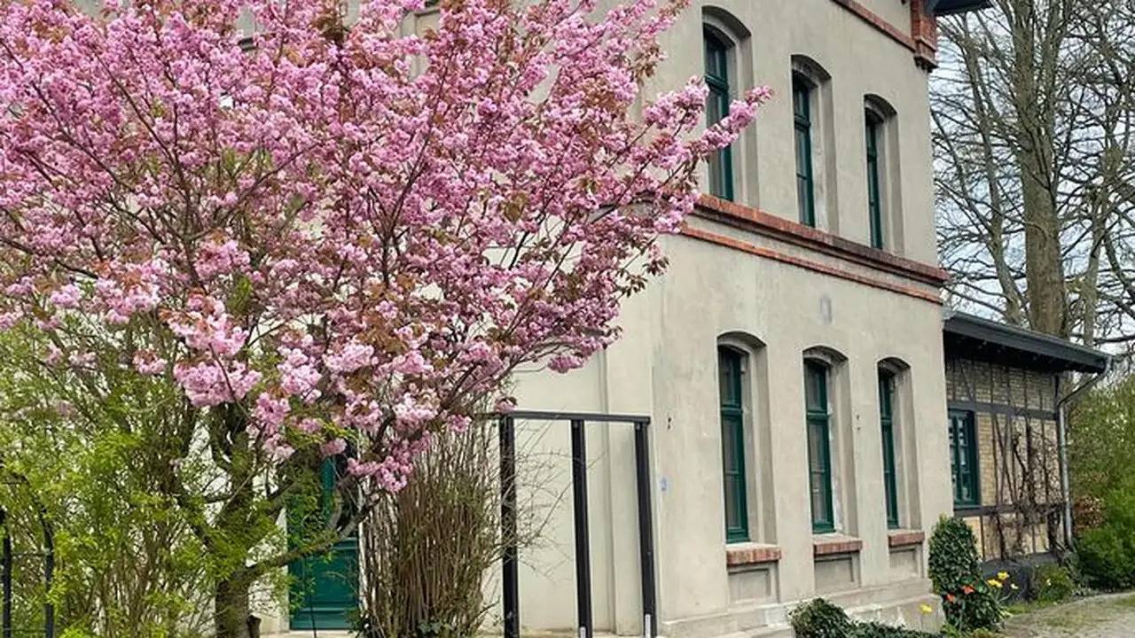 Ganze Ferienwohnung, Ferienwohnung für 2 Personen (125 m²) in Wallsbüll in Wallsbüll, Grünes Binnenland