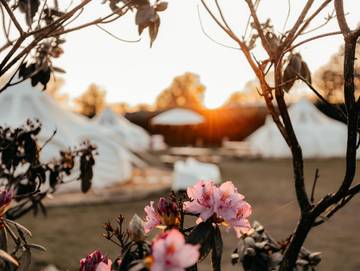 Camping per 4 Persone in Bladel, Brabante Settentrionale, Foto 1