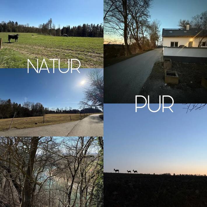 Ferienhaus für 17 Personen, mit Garten, mit Haustier in Bayern