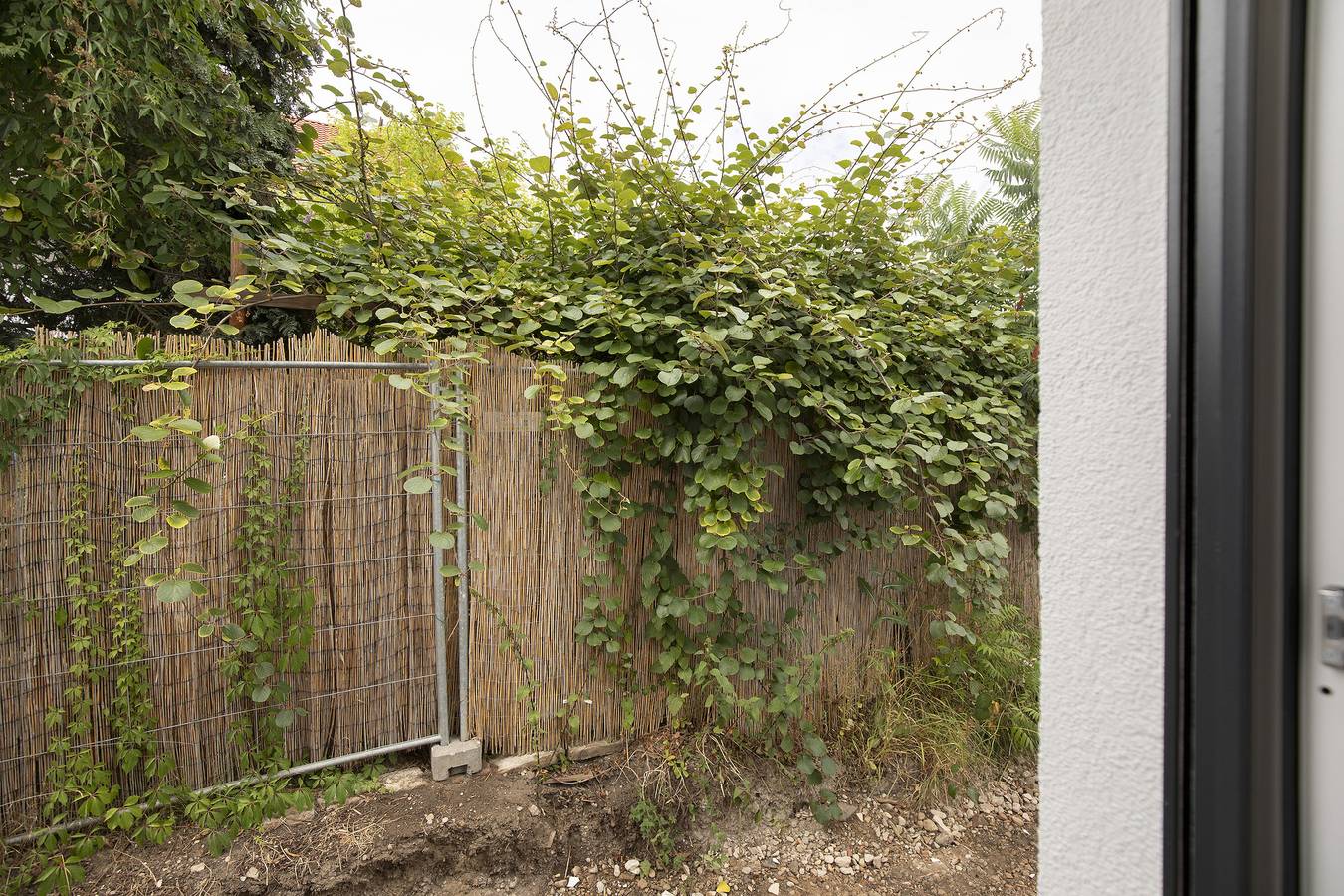 Ganze Wohnung, Studio 'Ay Homes 02' mit Wlan in Augsburg, Bayerisch Schwaben