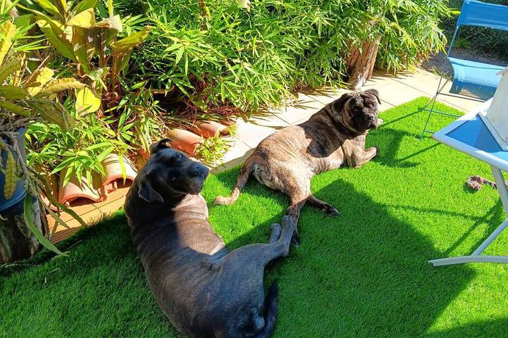 Hôtel pour 4 personnes, avec jardin à Le Taillan-Médoc - 4