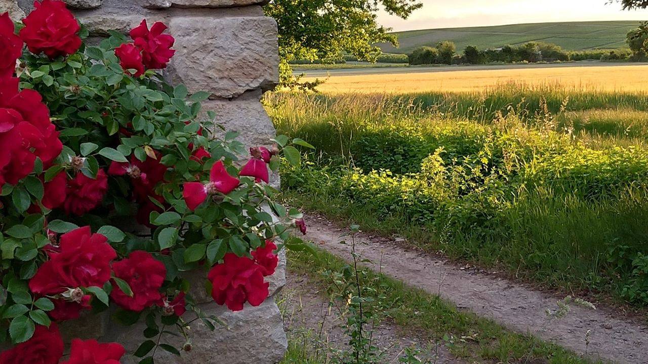 Ganze Ferienwohnung, Ferienwohnung für 6 Personen (70 m²) in Flonheim in Flonheim, Kurpfalz