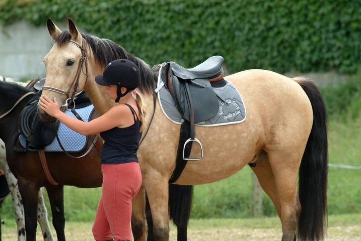 Gîte pour 3 personnes, avec jardin en Seine-Maritime - 3