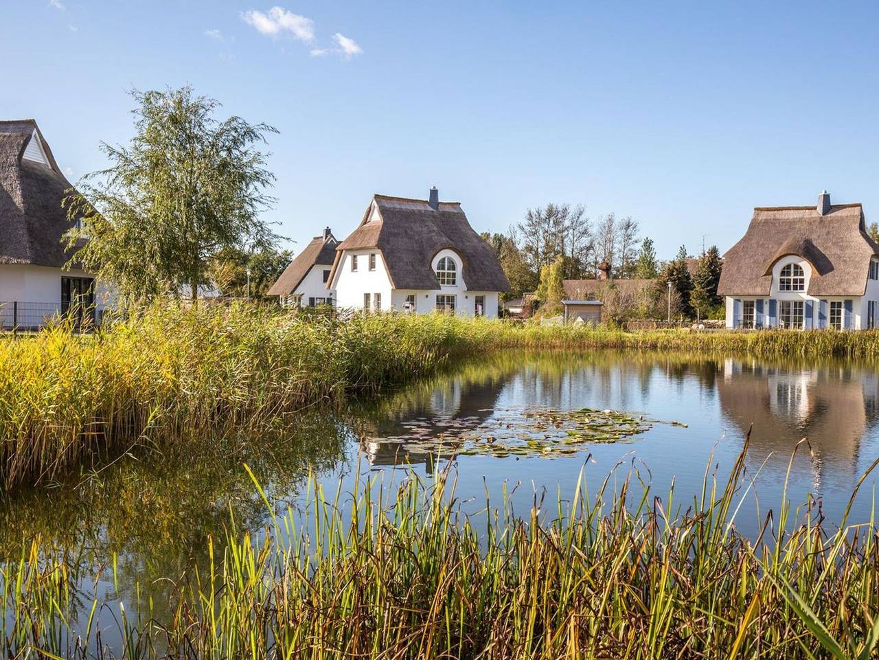 Ferienhaus Schilfrohrsänger 31 - Ferienhaus Schilfrohrsänger 31 - Der Natur ganz nah in Bodstedt, Fuhlendorf