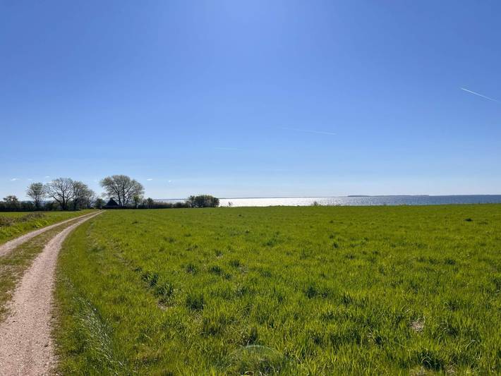 Ferienhaus für 10 Personen, mit Garten und Sauna sowie Terrasse und Whirlpool in Grønninghoved Strand - 3