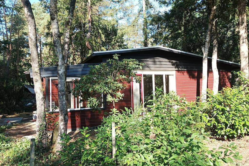 Bosbungalow de Eekhoorn in Nunspeet, Veluwe