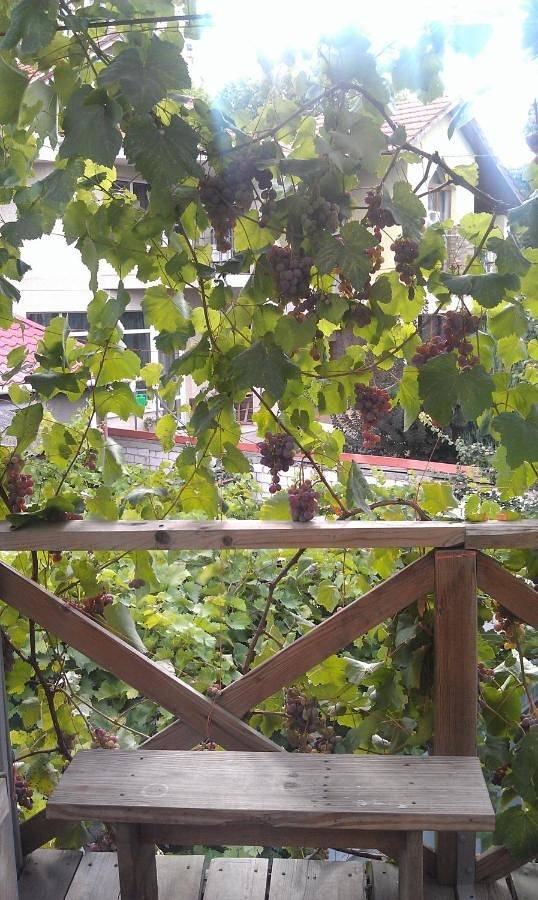 Maison d’hôte pour 4 personnes, avec vue et jardin à Odessa - 2