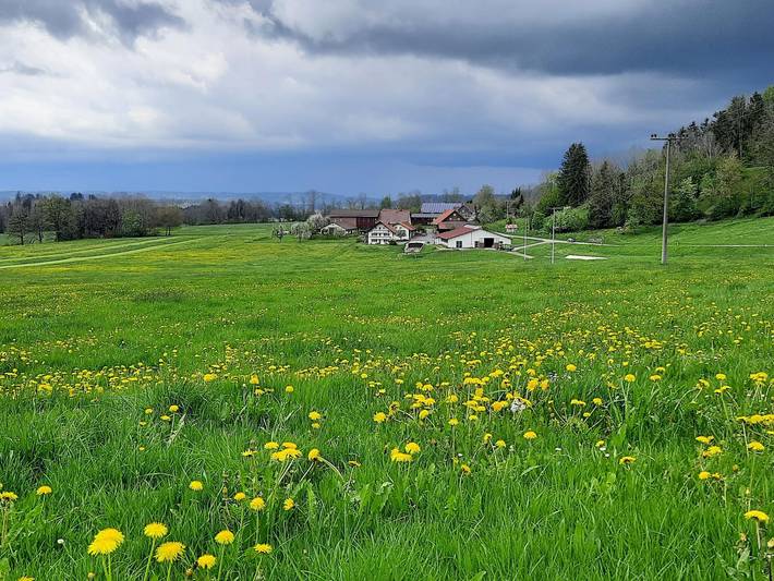 Ferienwohnung für 7 Personen, mit Balkon und Terrasse sowie Garten in Isny im Allgäu