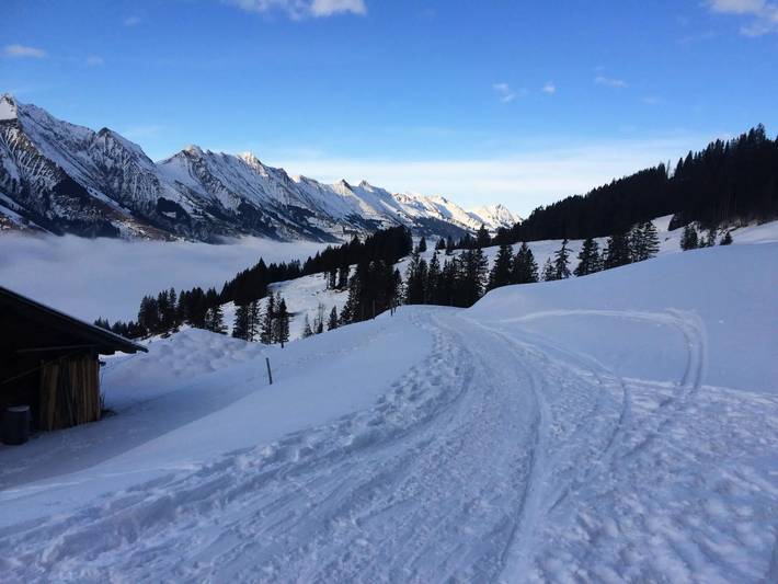 Ganze Wohnung, 4 Pièces 8 Personnes in Adelboden, Frutigen - Lenk - Adelboden