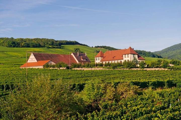 Gîte pour 2 personnes, avec Jardin et Vue à Mittelwihr