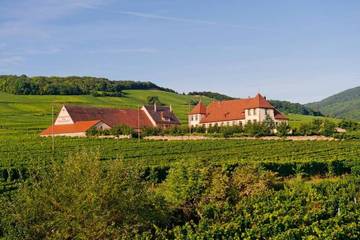 Gîte pour 2 personnes, avec jardin et vue à Mittelwihr