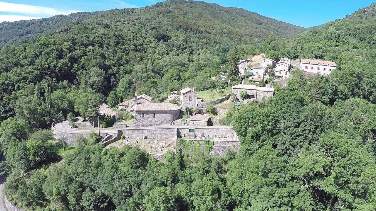 La myrtilleraie in Péreyres, Parc naturel régional des Monts d'Ardèche