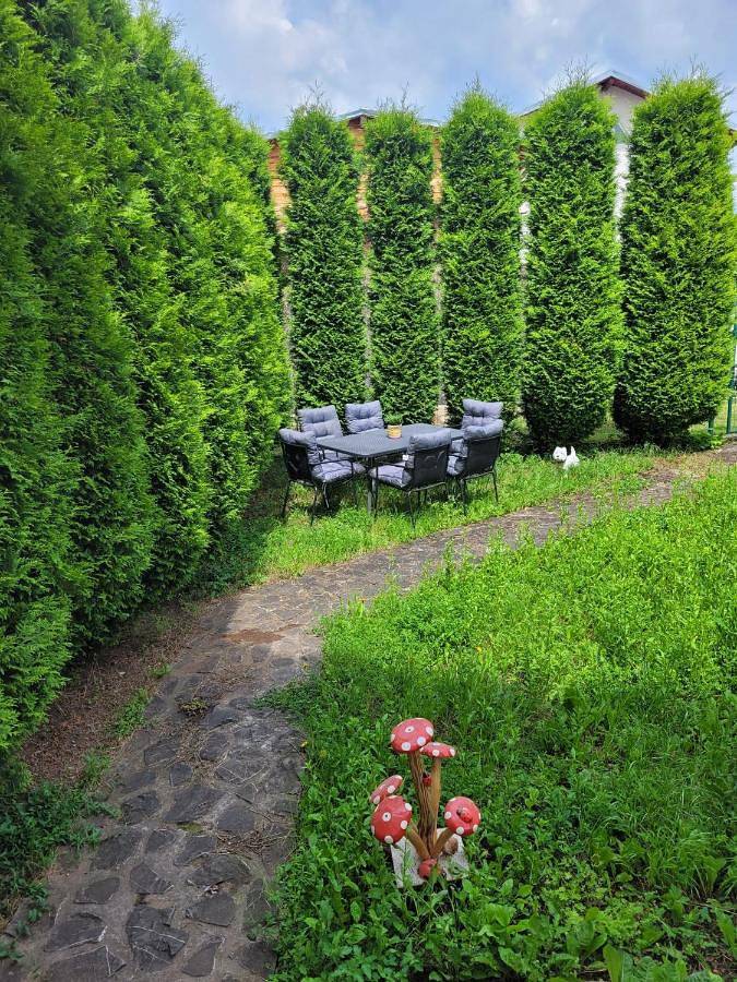 Location de vacances pour 10 personnes, avec jardin et vue dans Câmpina