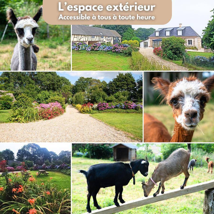 Domaine des Falaises in Villainville, Le Havre und Umgebung