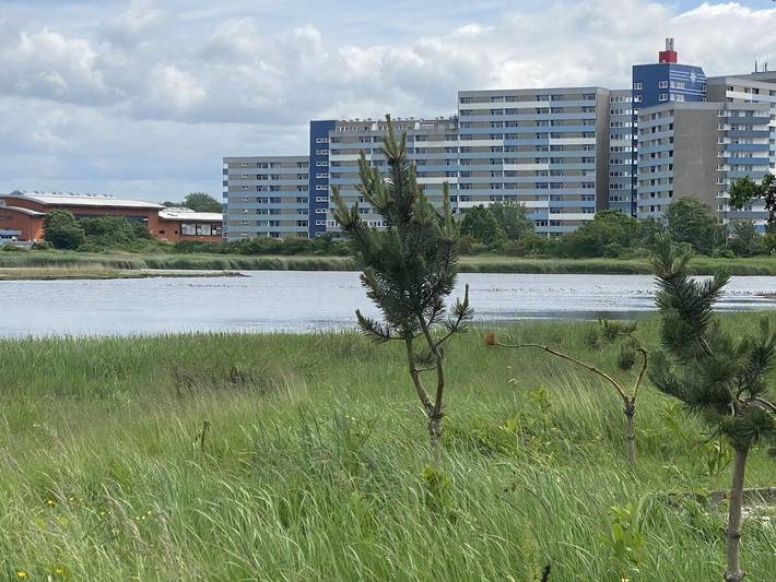 Strandhaus für 2 Personen, mit Balkon in Heiligenhafen - 4