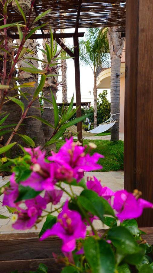 Location de vacances pour 4 personnes, avec vue et jardin à Ugento - 2