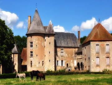 Chambre d’hôte pour 6 personnes, avec vue et jardin, animaux acceptés à Le Theil