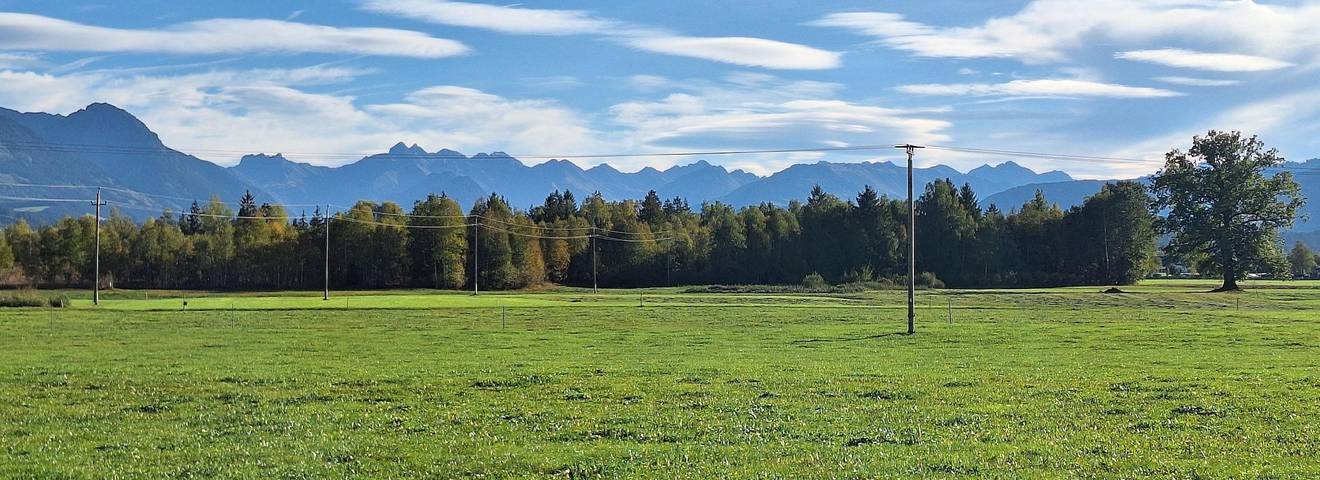 Ganze Ferienwohnung, Pferde in Grünten, Burgberg im Allgäu