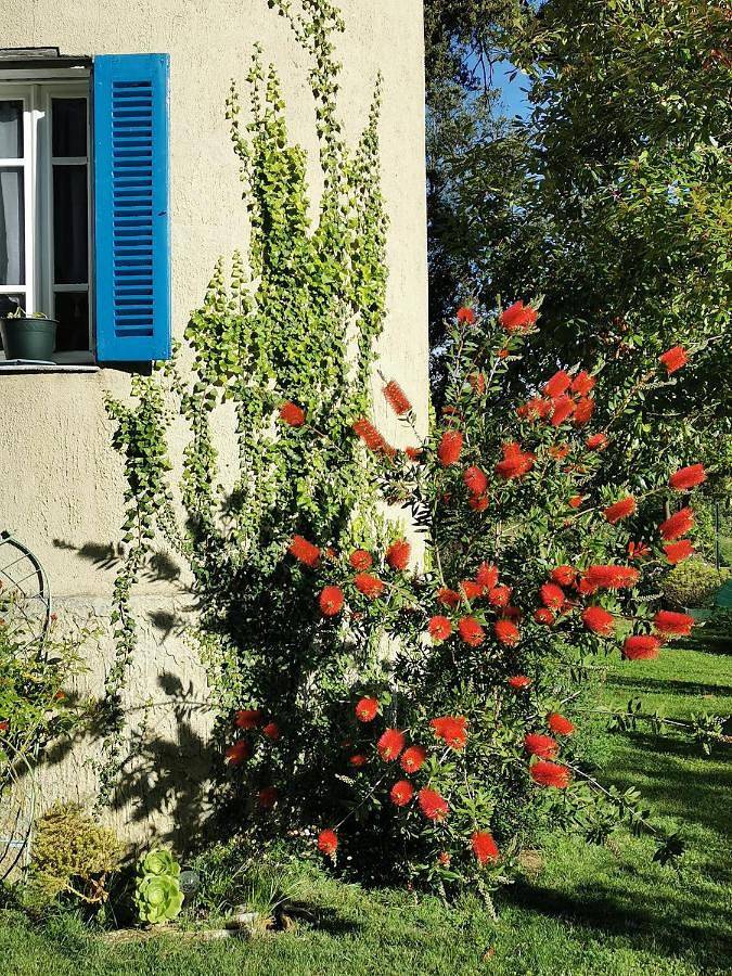 Twin Room with Mountain View in Vico, Région d'Ajaccio