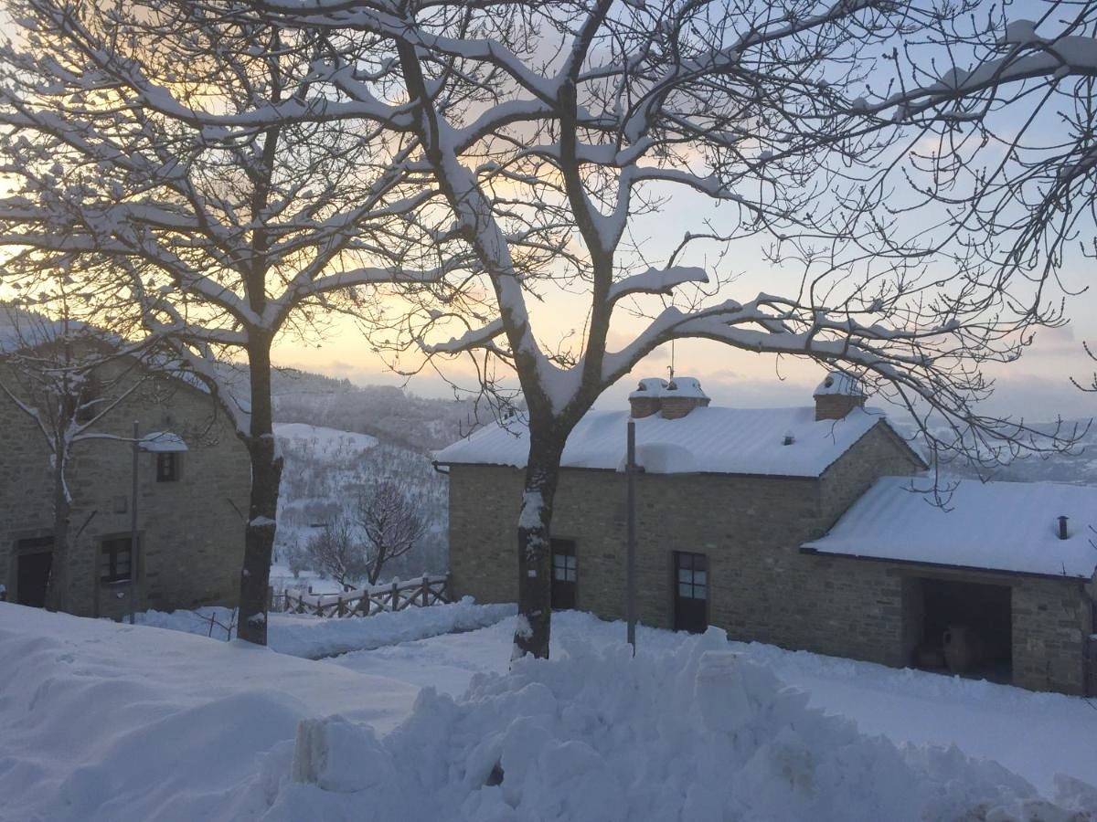 Agriturismo Incisa in Bagno di Romagna, Provincia di Forlì-Cesena