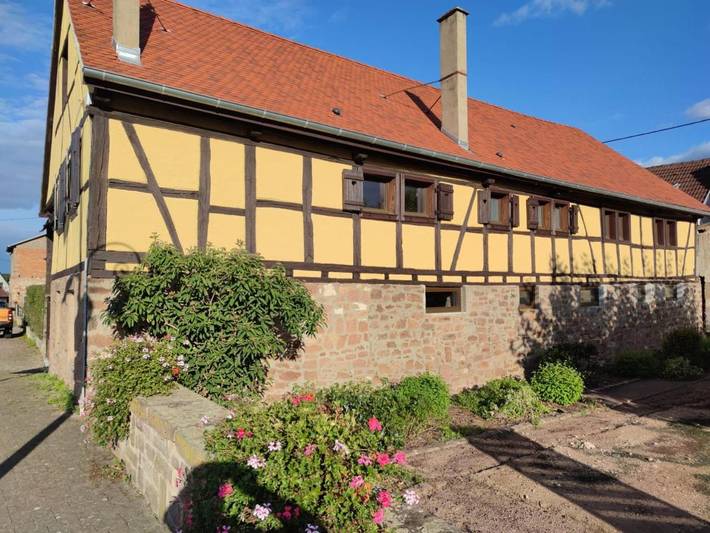 Gîte pour 2 personnes, avec jardin, animaux acceptés à Guémar - 4